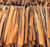 SPLIT CASSIA - Image 2